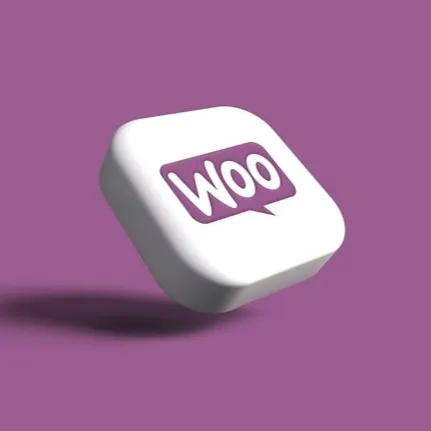 Managed WooCommerce hosting for a WordPress online store